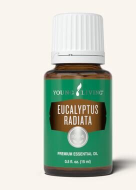 Eucalyptus Radiata Essential Oil, Young Living, New